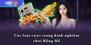 Các loại cược trong kinh nghiệm chơi Rồng Hổ