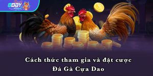 Cách thức tham gia và đặt cược Đá Gà Cựa Dao