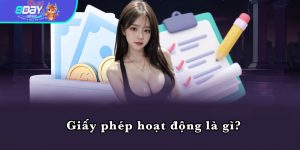 Giấy phép hoạt động là gì?